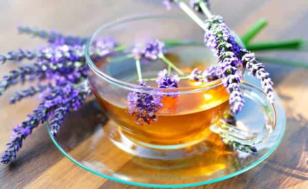 تصویر 5 از خرید و فروش گل گاوزبان اسطوخودوس با شرایط فوق العاده
